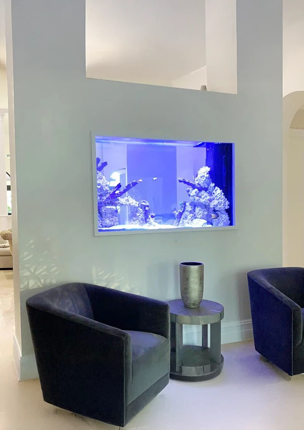 Divider aquarium between two columns in a modern home