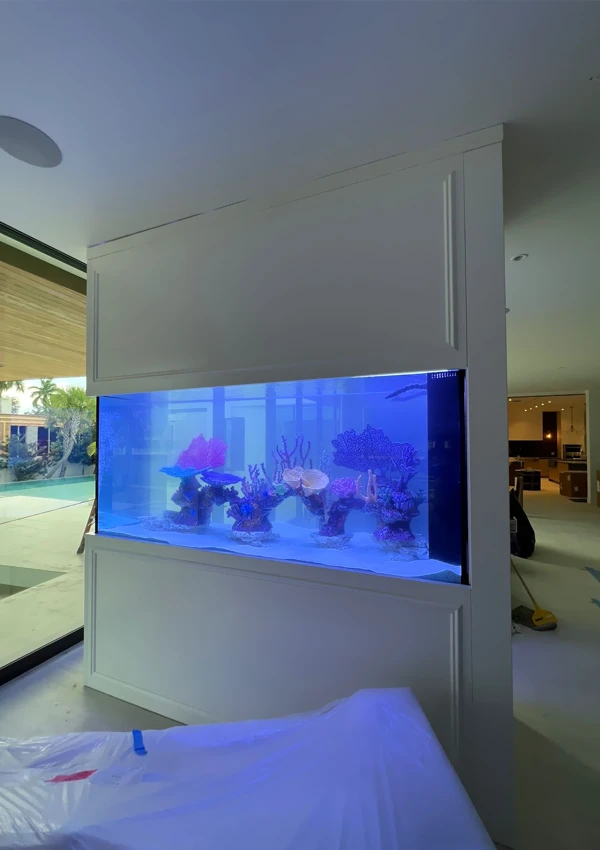Large reef aquarium built into a white wall, visible from both rooms.