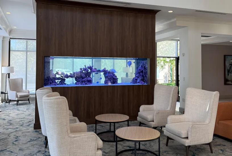 Commercial Aquariums Aquarium installed behind bar in hospitality venue