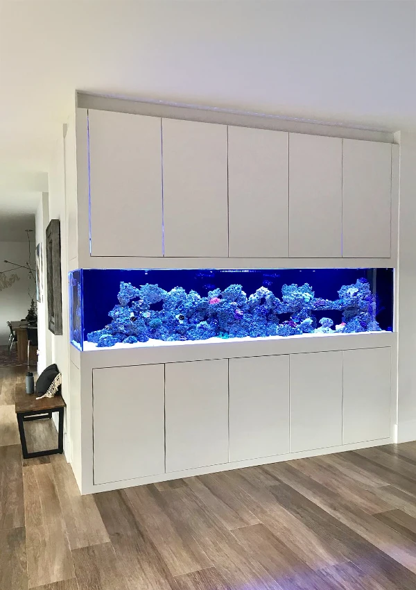 Custom corner aquarium visible from two angles, flush with wall