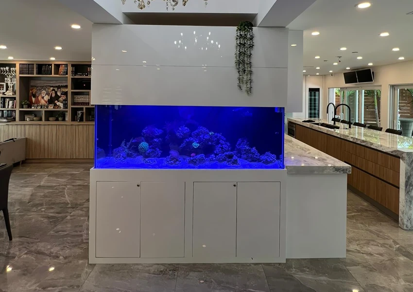 Tall divider aquarium separating living room space