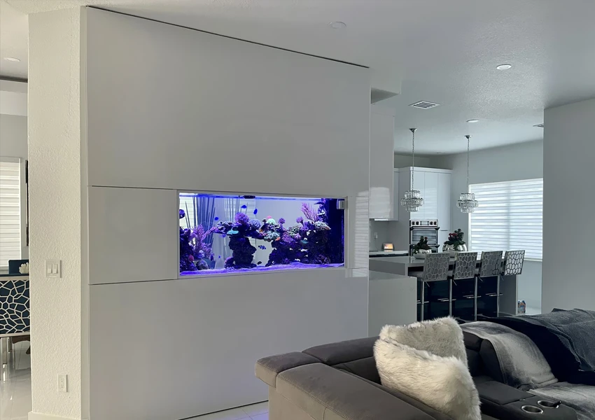 Aquarium installed in a wall that separates two home areas