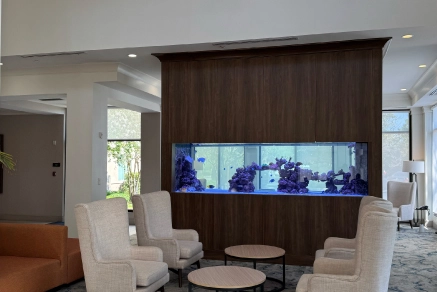 Saltwater aquarium installation in upscale hotel setting