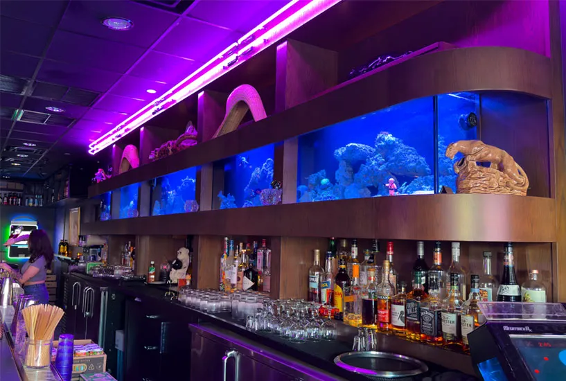Aquarium Leasing Aquarium in commercial bar, designed for leasing