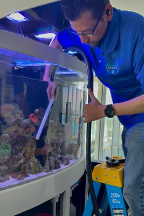 Technician cleaning the glass of a saltwater aquarium