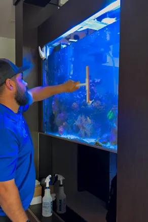 Aquarium technician cleaning the glass of a reef tank during routine maintenance