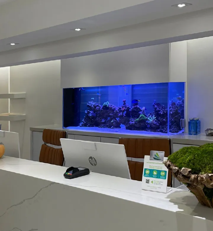 Custom spa aquarium installation in Miami