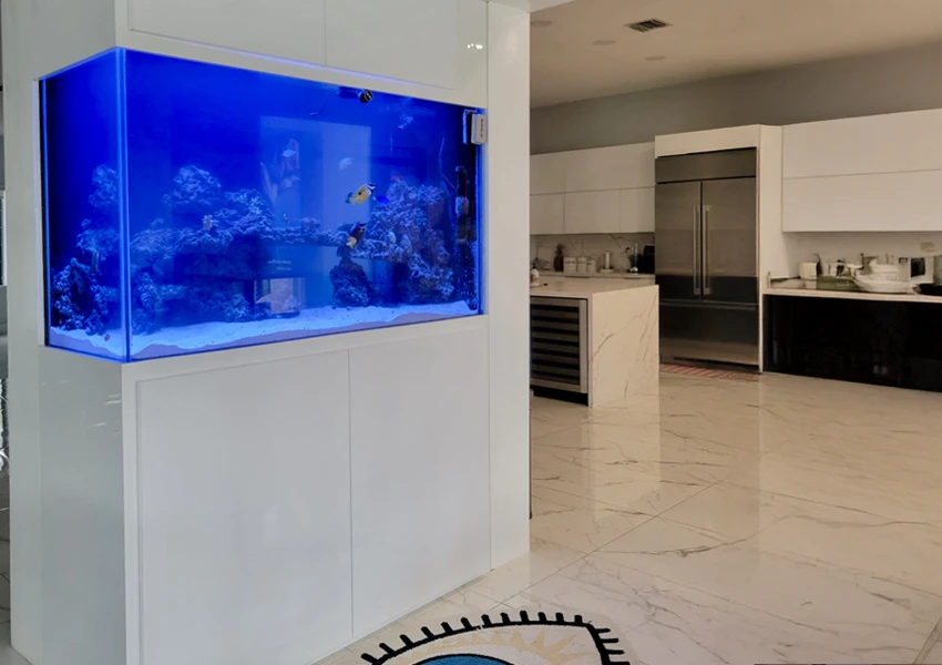 Corner aquarium in open-plan living space