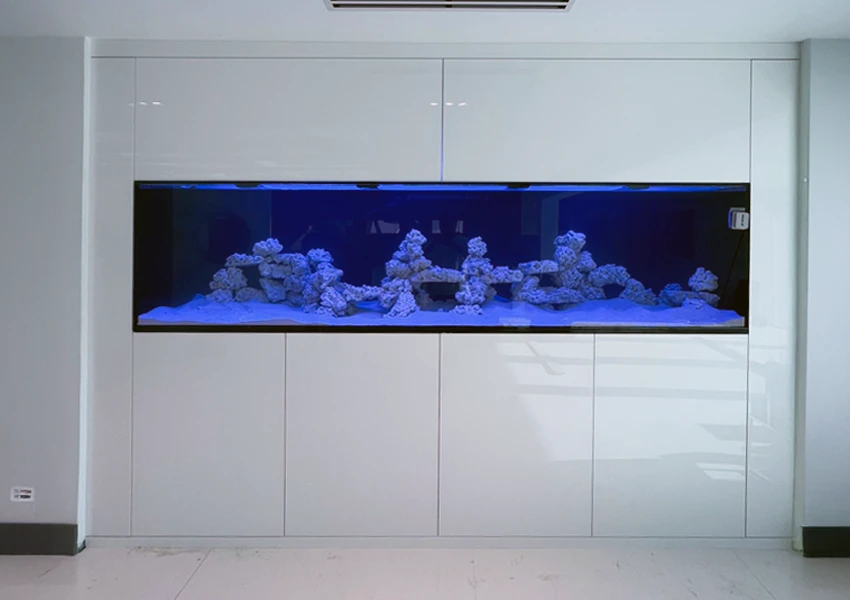 Custom aquarium embedded into a living room wall with built-in filter access