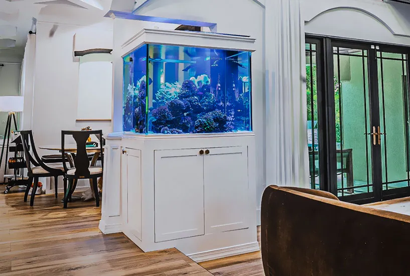 Custom Aquarium