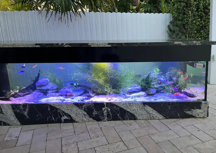 Large outdoor custom aquarium with koi fish