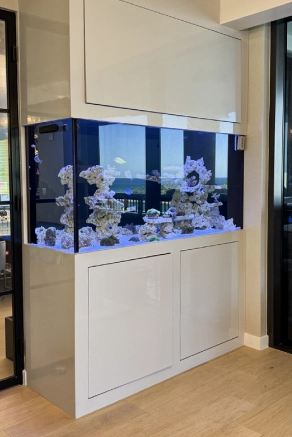 Aquarium installation during residential remodeling