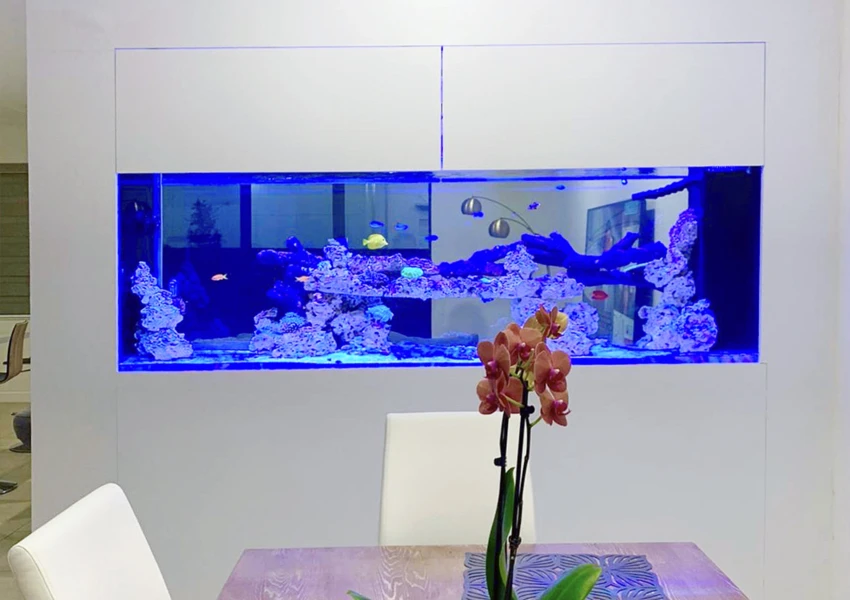 Elegant divider aquarium connecting a dining room and entertainment area.