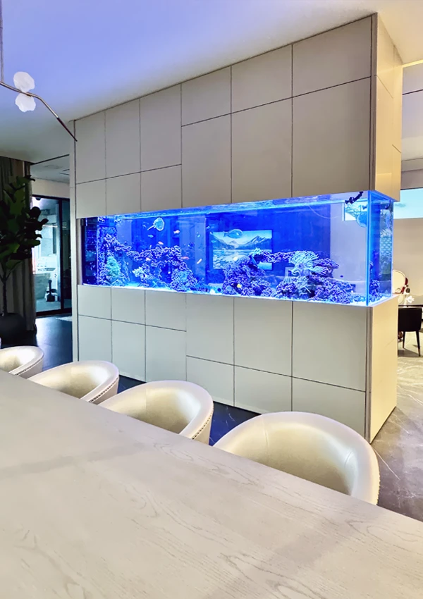 Custom-built divider aquarium installed in the center of a professional office