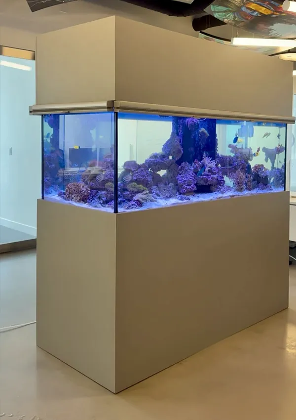 Divider aquarium installed in the center of a corporate office, acting as a striking architectural element.