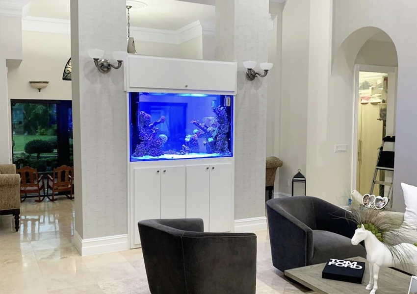 Saltwater divider aquarium built precisely between two structural columns.