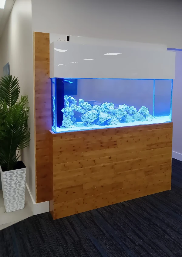 Divider aquarium separating two rooms in a home
