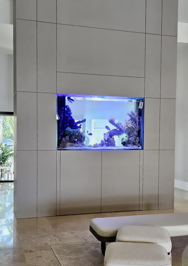 Divider aquarium splitting two residential spaces