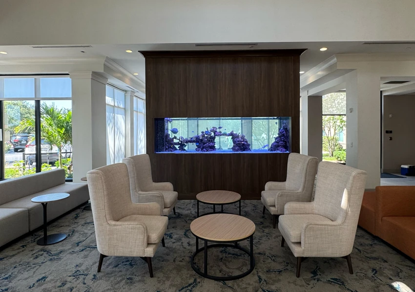 Striking aquarium installation at Hilton Miami hotel lobby.