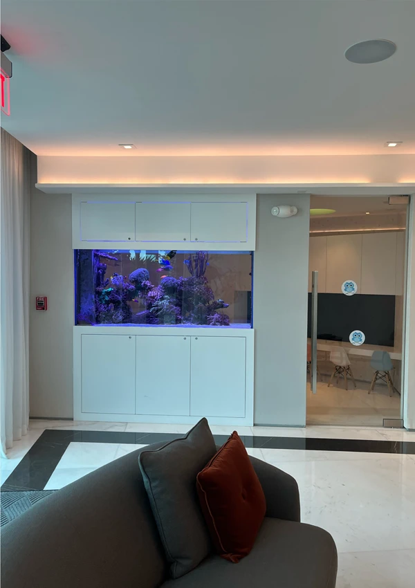 Aquarium positioned between a hotel lounge and the pool area.