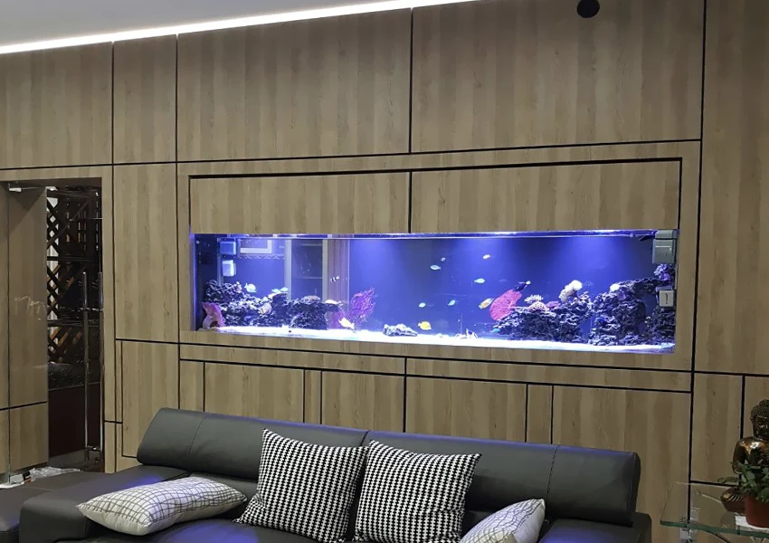 In-wall aquarium visible from both sides