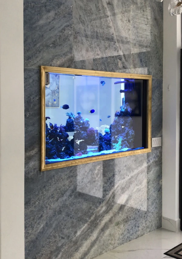 Contemporary in-wall aquarium with sleek design