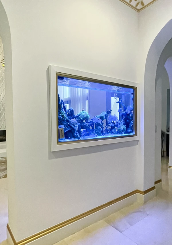 In-wall aquarium embedded in a modern residential dining room