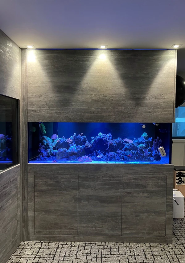 Two divider aquariums forming an L shape to separate home living areas