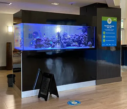 Custom aquarium installed in a modern hotel lobby