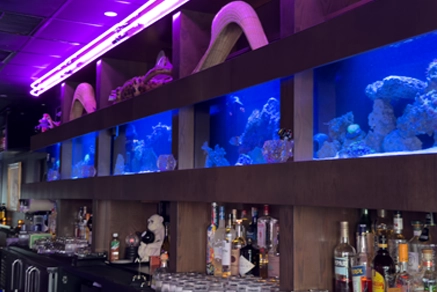 Stylish aquarium in a contemporary bar setting