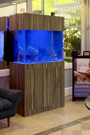 Elegant custom aquarium in a luxury spa environment