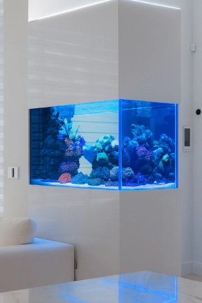 Peninsula-style aquarium dividing open-concept living space