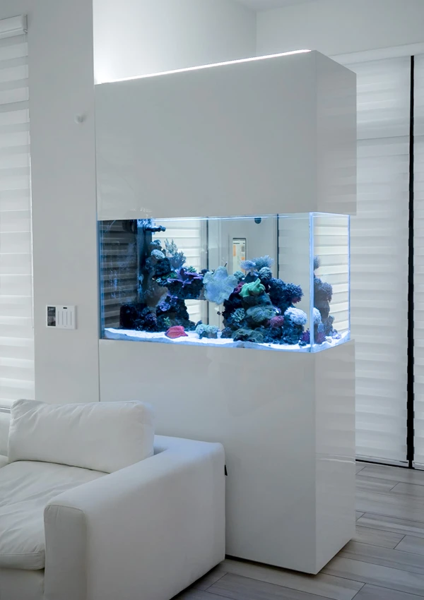 Small but striking peninsula aquarium in a luxury home TV room