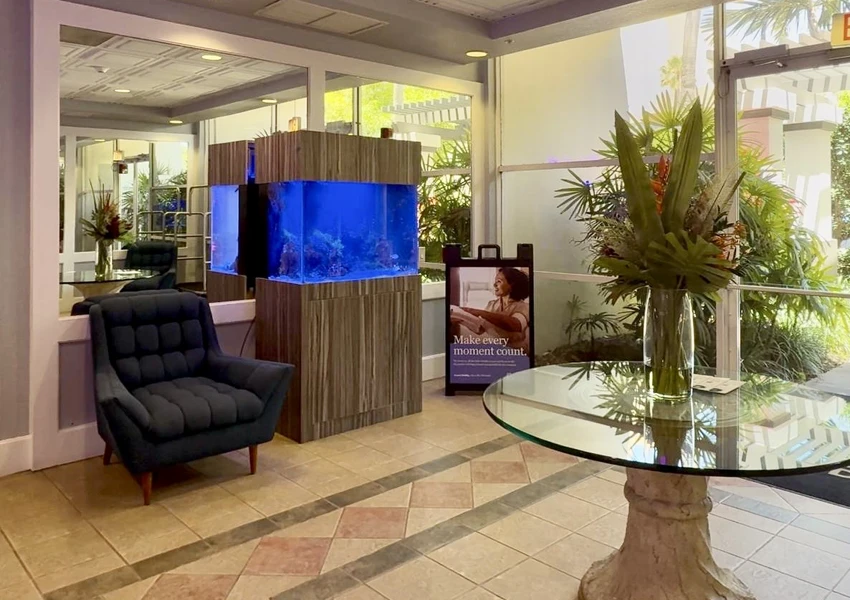 Rectangular aquarium providing a calming view in a spa interior.