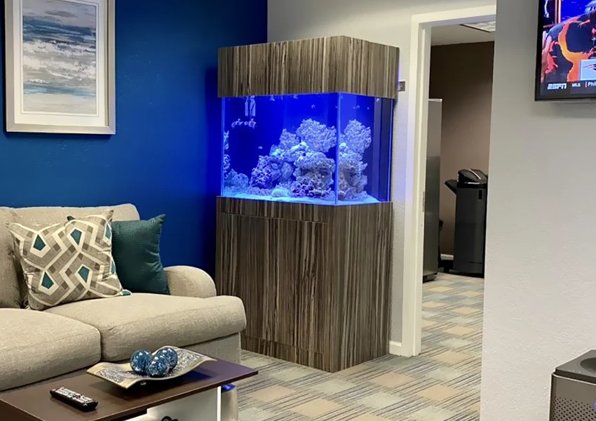 Medium-sized rectangular aquarium in a commercial waiting area