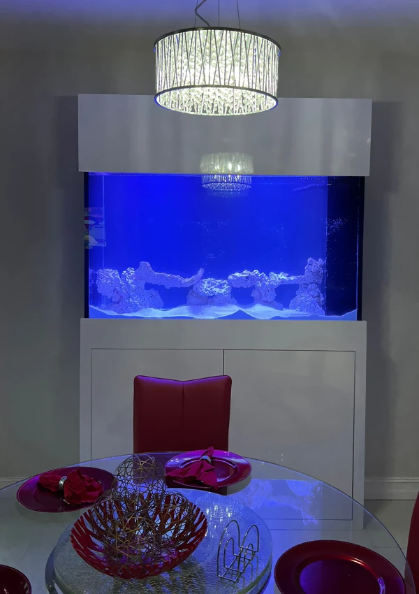 Saltwater aquarium perfectly integrated into a home’s dining room setup.