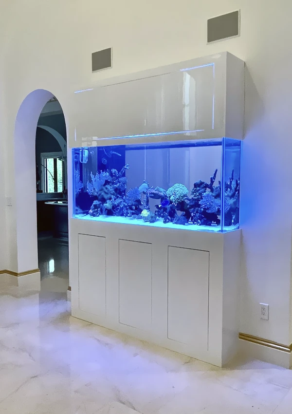 Large rectangular aquarium placed against the wall in a cozy living room