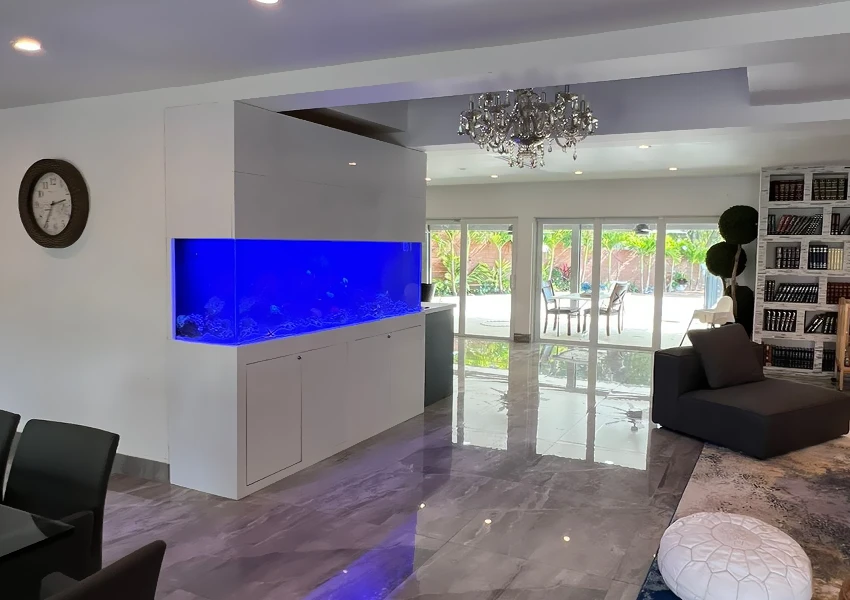 Spacious rectangular aquarium in an open-concept home