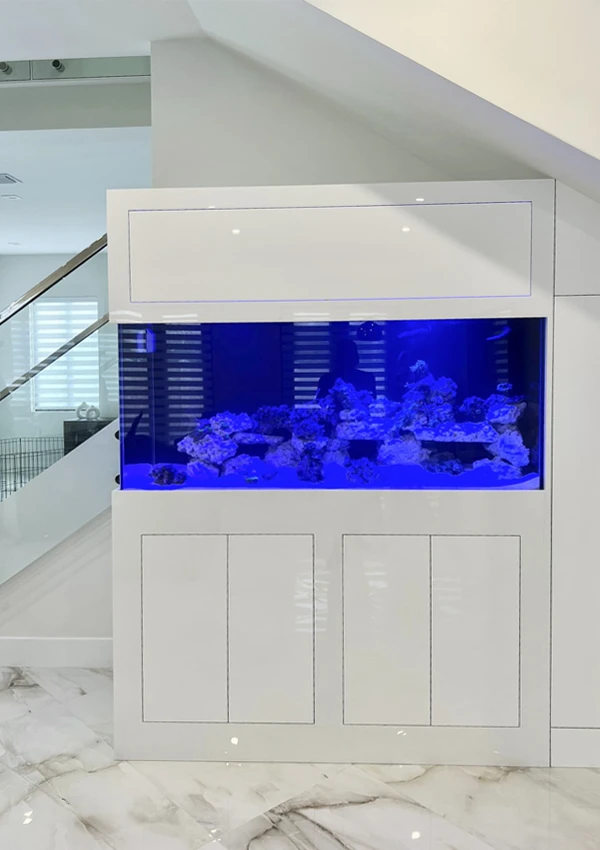 Saltwater rectangular tank built under a staircase to optimize space