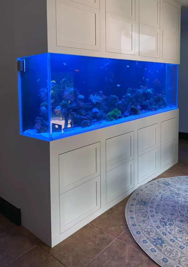 In - Wall saltwater aquarium fitted into a living room wall with frontal and side views