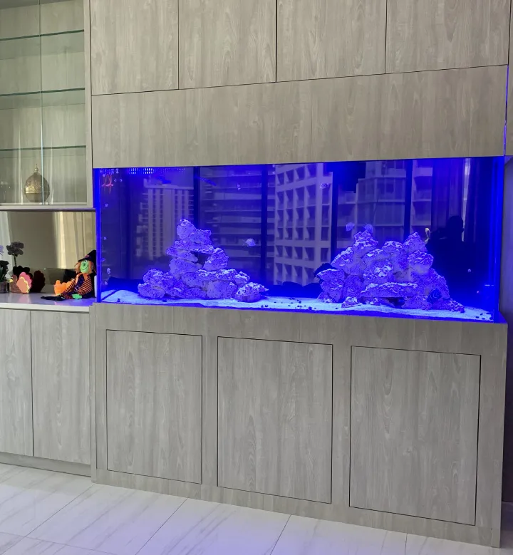 Custom aquarium installed in a luxury Miami residence by Aquarium Marketing
