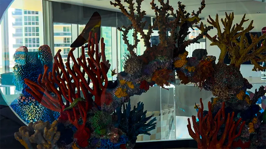 Crystal-clear, well-maintained saltwater aquarium